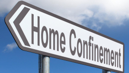 Et voila nous sommes à nouveau confiné...mais un peu différement !