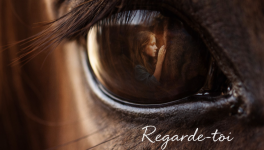 Comprendre son style d'attachement