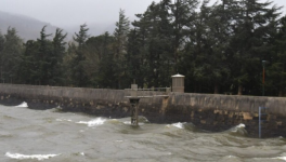 Chapitre 29 - Au bord du lac