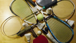 un exemple d’intérêt de diversité « sociale »