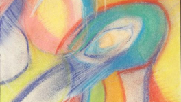 L'oiseau enchanteur - jeux d'ombre et de lumière - 2017