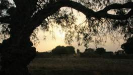 Carnet de voyage au Burkina Faso. La lumière de Tiébélé.