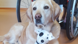 Message de Haloha : Sagesse et ancrage