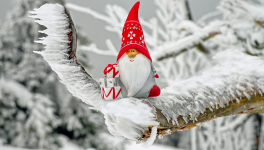 Il était une fois noel...