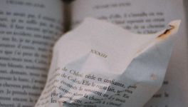 Donner de la personnalité à ses personnages