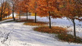 La prison des saisons