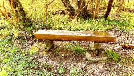 Contemplation sur le banc