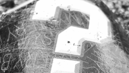 L'enfant à naître contre le droit du choix.