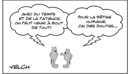 La bêtise et le temps