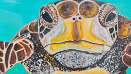 La Silencieuse marée et le Claque-Pince