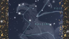 #Linktober 2025: 🌌La percée des étoiles