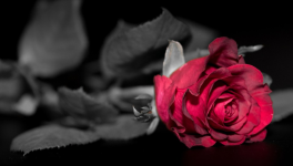 Romance, Dark romance