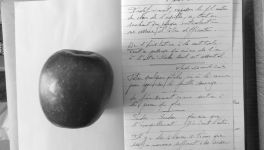 Petits Papiers Volants : Journal D'écriture 2003-2018