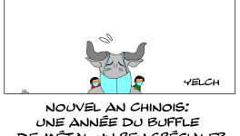 Année du buffle de métal