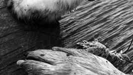 Chronique N°2 : Le Fil invisible (Un Happy End)