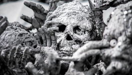 JOURNAL DE L’ANNÉE DE LA PESTE : 22 mai