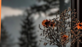 Inspiration dans les brumes.