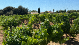 C’est maintenant que tout commence