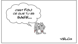 La folie de la sagesse