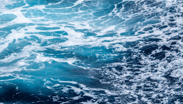 JOURNAL DE L’ANNÉE DE LA PESTE : 6 mai