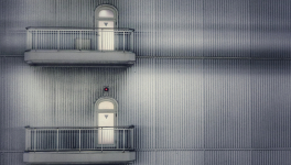 JOURNAL DE L’ANNÉE DE LA PESTE : 7 mai