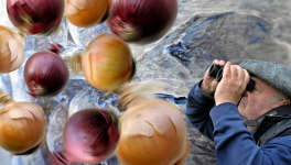 Les mondes perpendiculaires