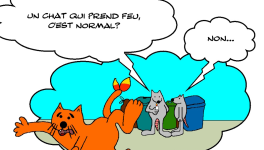 RATPSODIES - SUMMER 2024 - 1