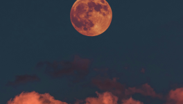 Une journée d'hiver austral