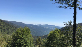 Nommer un problème pour le mal-traiter.