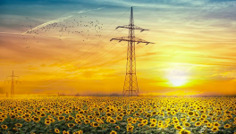 J'ai appris (poème)