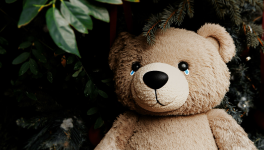 Nounours