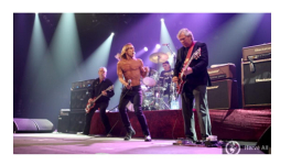 I wanna be your dog – L'ombre des Stooges