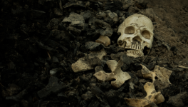 Mon petit sac d’os – Dernière lettre