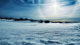 Elles dansent au Savoyard