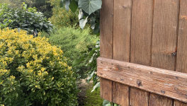 Le jardin grimpant du 28 Octobre