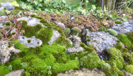 La blanche joie d'être