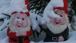 Les nains ensorcelés