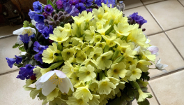 Votre bouquet du Dimanche 13 Mars 