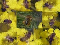 Même sans le darknet, le web a pris le pouvoir 