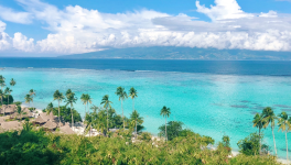 Prosopoppée polynésienne