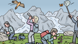 à la découverte de la nature montagnarde