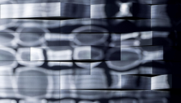 Conversation avec Eva et Vincent sur l'écosystèmique à l'épreuve de la pandémie.