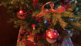 Votre calendrier de l'Avent - 15 Décembre 