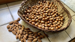 Le jardin du 21 Août, avec Hildegarde