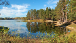 Avis lecture : La Colonie, d'Annika Norlin