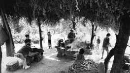 Ce gamin, là (Renaud Victor, 1975)