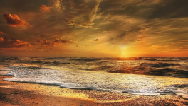 Besoin de douceur...