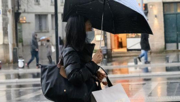 De la déforestation à la pandémie