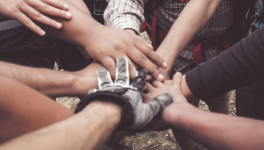 D'amour et d'amitié