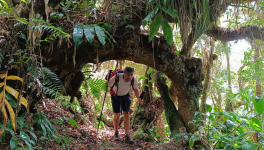 Une atmosphère incroyable, féérique et étrange à la fois